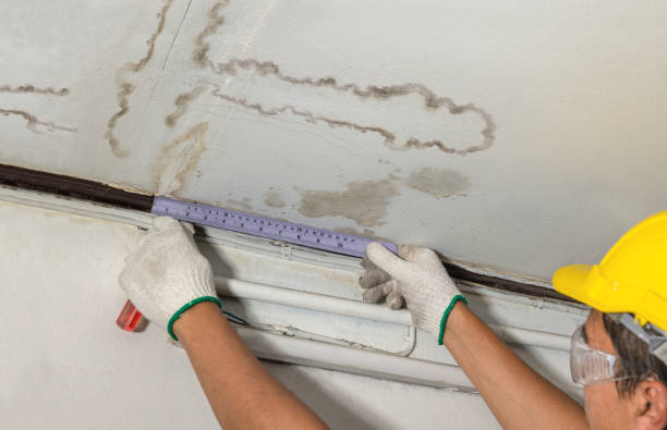 Reliable Basement Flood Cleanup contractor in Wayne, OH by Hirex Water Damage